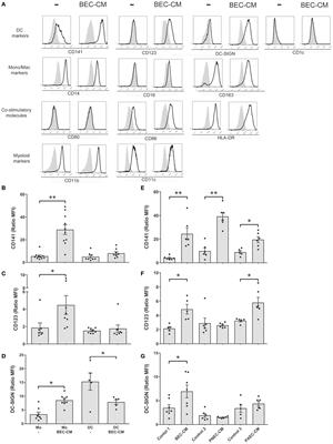 Human Bronchial Epithelial Cells Induce CD141/CD123/DC-SIGN/FLT3 Monocytes That Promote Allogeneic Th17 Differentiation